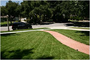 1bIMG_0712.JPG