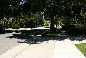 1bIMG_0713.JPG