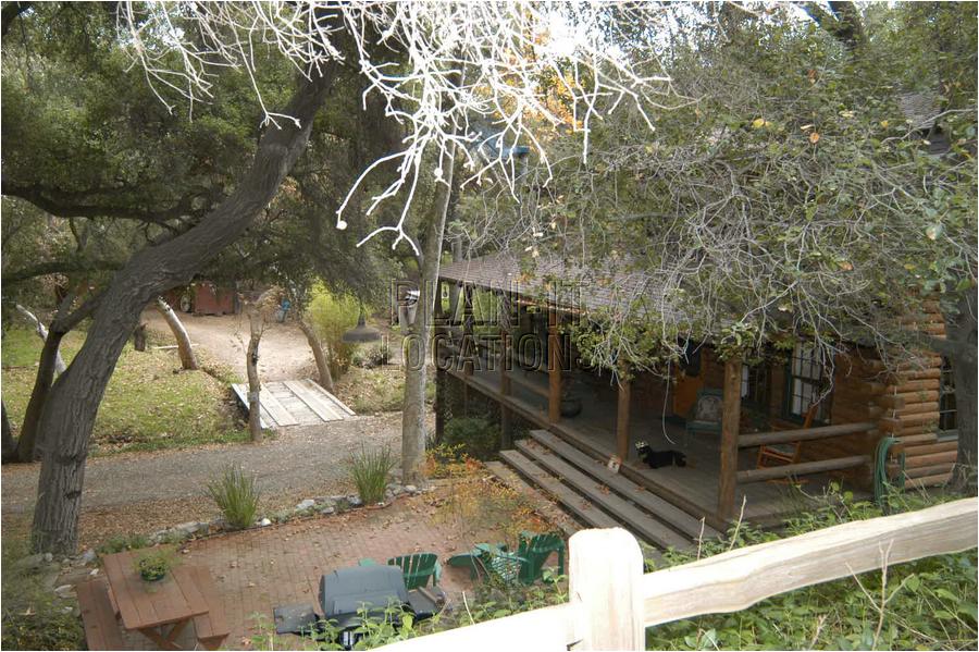 2bdscn 14.JPG