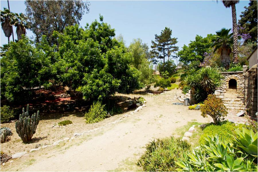 8bh6123_77.jpg