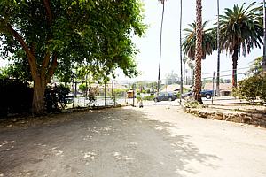 0bh6123_190.jpg