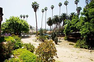 1ch6123_190.jpg