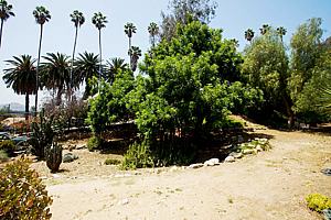 1ch6123_191.jpg