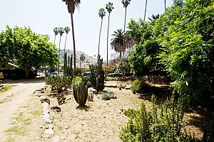 1ch6123_192.jpg