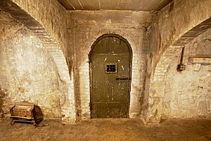 6ch6123_125.jpg