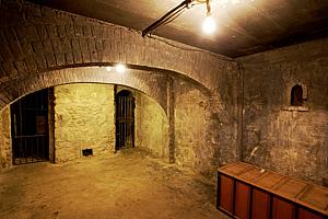 7ah6123_123.jpg