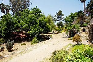 8bh6123_77.jpg