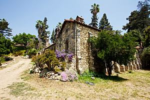 8bh6123_79.jpg