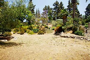 8bh6123_85.jpg