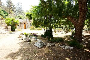 8bh6123_86.jpg