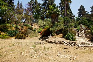 8bh6123_88.jpg