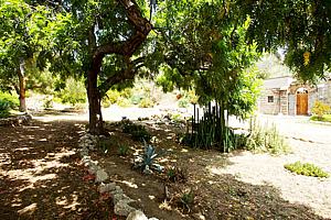 8dh6123_111.jpg