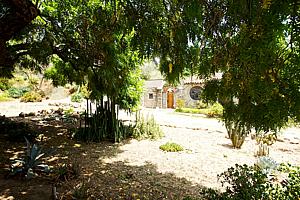 8dh6123_112.jpg