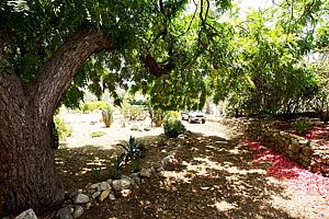 8dh6123_114.jpg
