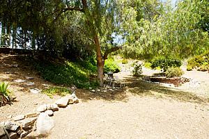 8dh6123_115.jpg