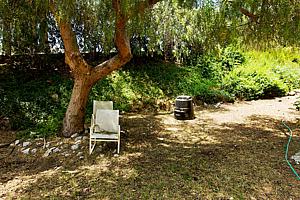 8dh6123_116.jpg