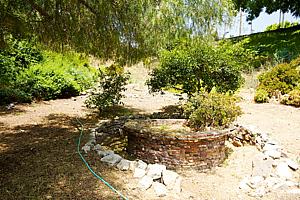 8dh6123_117.jpg