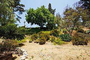 8dh6123_118.jpg