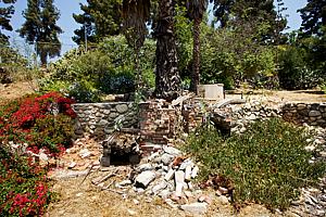 8dh6123_120.jpg