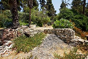 8dh6123_121.jpg
