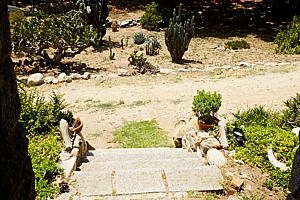 8dh6123_124.jpg