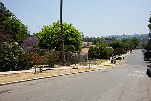9ah6123_168.jpg