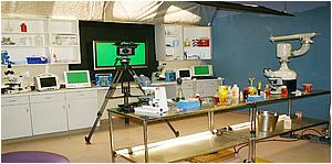 4cdscn 307.jpg