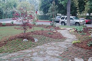 1adscn 8190.jpg