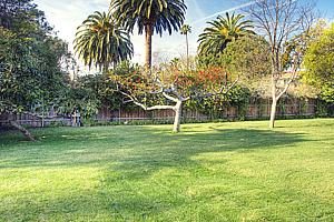 8adscn 026.jpg