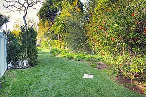 8adscn 031.jpg