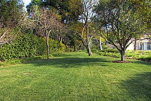 8adscn 034.jpg