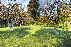 8adscn 035.jpg