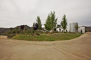 1cdscn 230.jpg