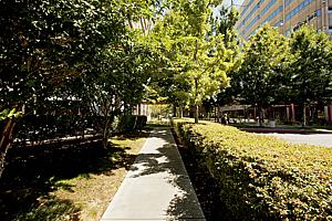 177office_91.jpg