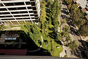 1b177office_4.jpg