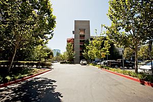 1c177office_88.jpg