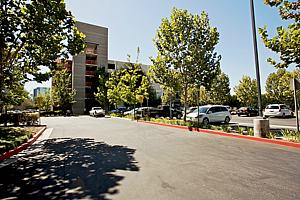 1d177office_89.jpg