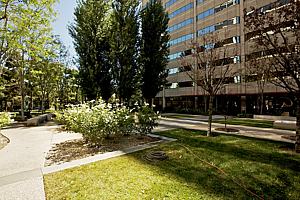 7f177office_100.jpg