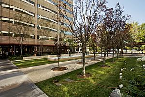 7f177office_105.jpg
