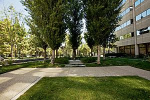 7f177office_106.jpg