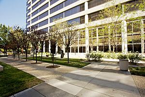 7f177office_110.jpg