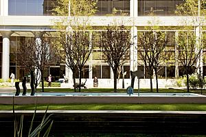 7f177office_117.jpg