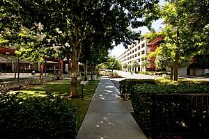 7f177office_95.jpg