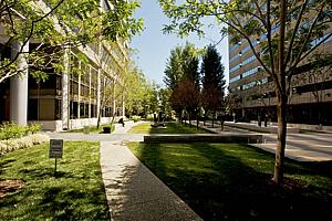 7f177office_96.jpg