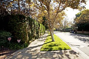 1bdscn 007.jpg