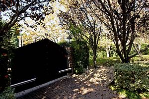 2adscn 005.jpg