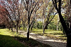 2bdscn 018.jpg