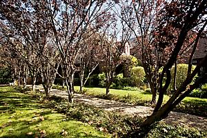2bdscn 019.jpg
