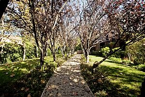 2bdscn 021.jpg