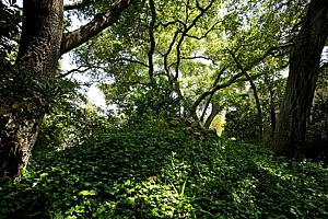 dscn 104.jpg